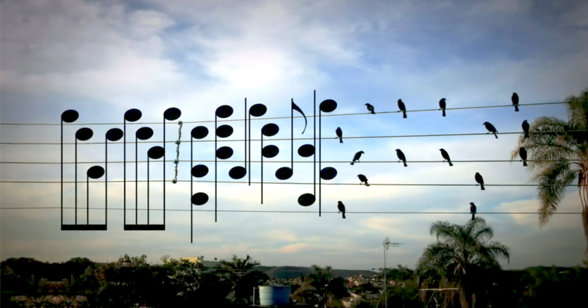 This Song uses the Location of Birds Sitting on Wires as Musical Notes