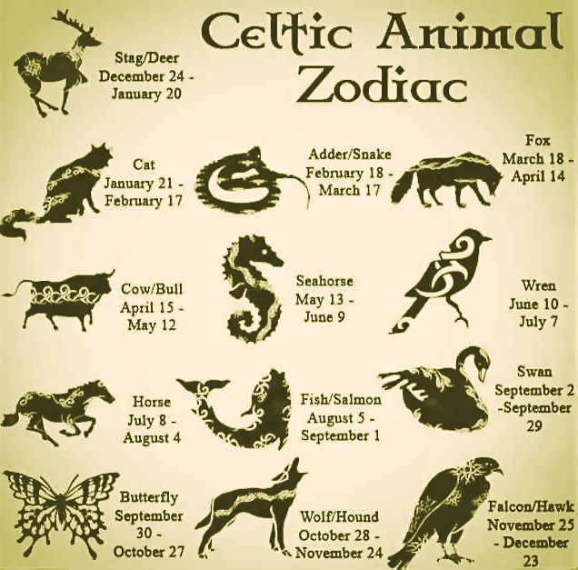The 25 Spirit Animals & the Amazing Meanings Behind Them All