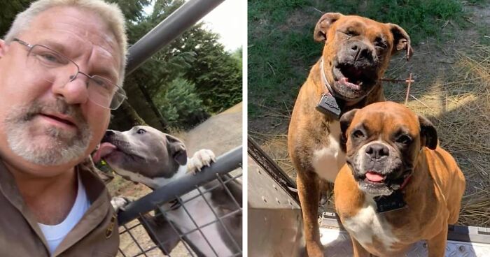 UPS Drivers Have A Facebook Group About Dogs They Meet On Their Routes, And It Will Make Your Day