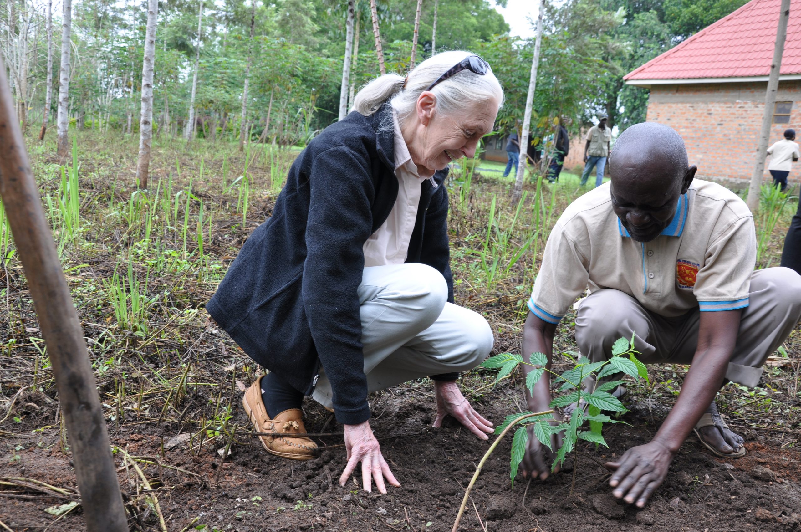 Jane Goodall Drives To Make Earth Green Again By Planting 5 Million Trees