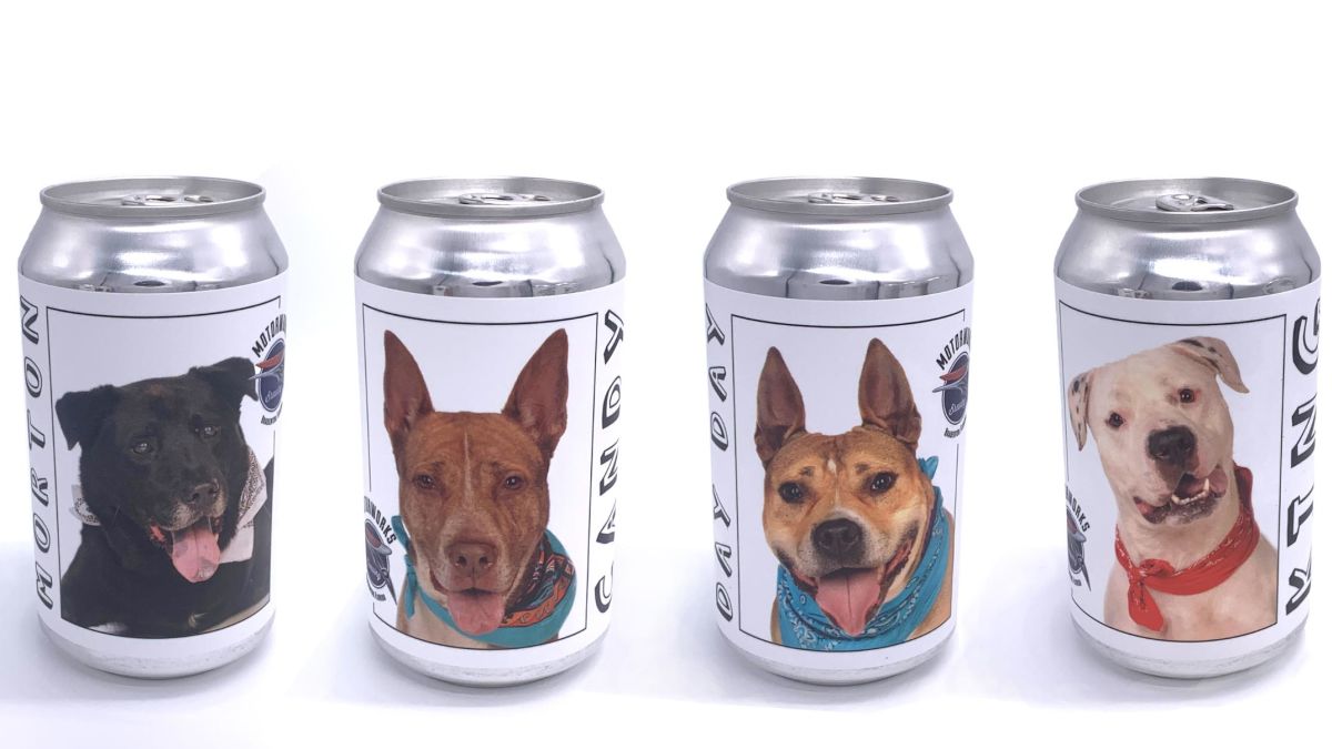 A Florida Brewery Featured Rescue Dogs On Their Beer Cans To Spread Awareness About Rescue Dogs