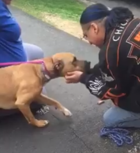 Stolen Dog Can&apos;t Contain His Joy After Reuniting With His Owner 2 Years Later (Video)